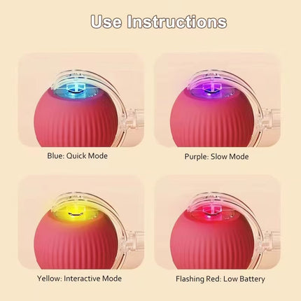 Dr Todd’s Interactive Cat Toy Ball – USB Rechargeable Smart Rolling Ball for Kittens & Cats