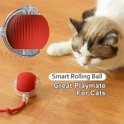 Dr Todd’s Interactive Cat Toy Ball – USB Rechargeable Smart Rolling Ball for Kittens & Cats